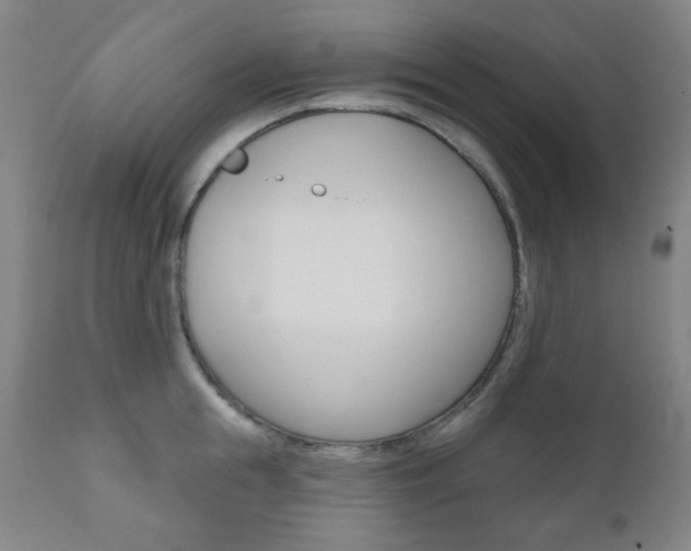 X0000111000855200906191142