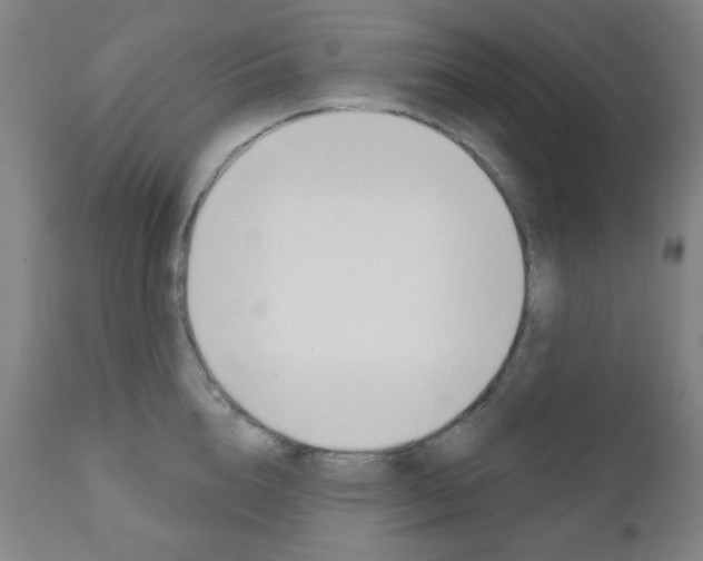 X0000111000856200906191142