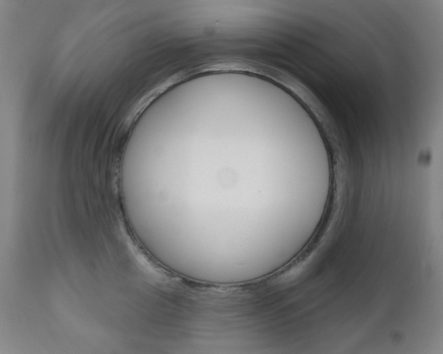 X0000111000857200906191142