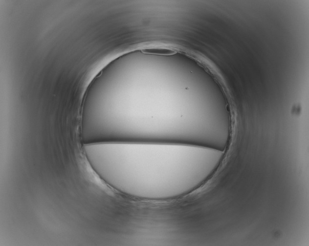 X0000111000860200906191142