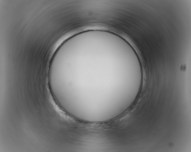 X0000111000861200906191142