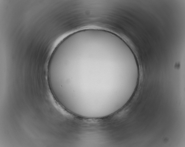 X0000111000862200906191142