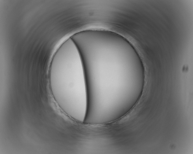 X0000111000864200906191142