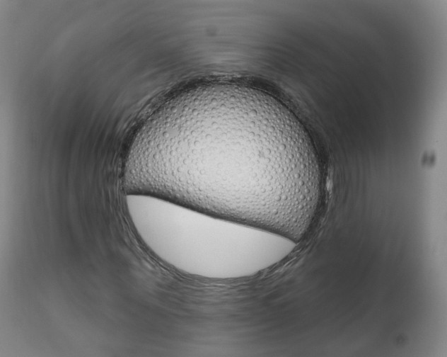 X0000111000867200906191141