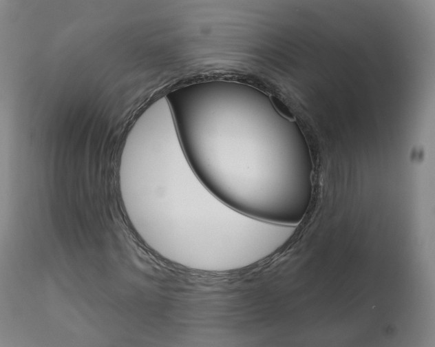 X0000111000868200906191141
