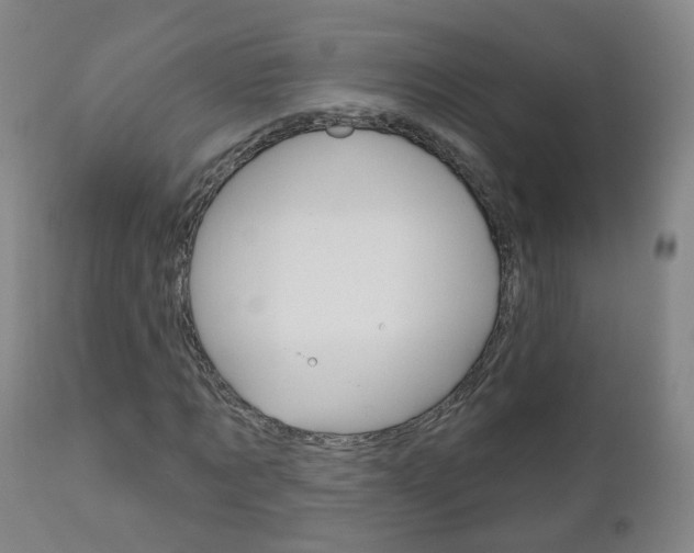 X0000111000869200906191141