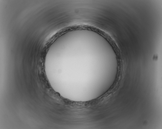 X0000111000871200906191141