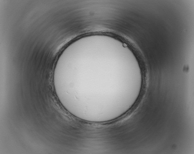 X0000111000873200906191141