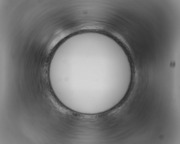 X0000111000874200906191141