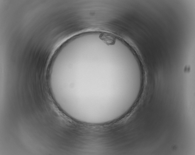 X0000111000876200906191141