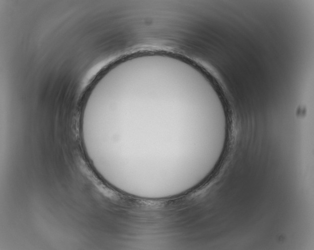 X0000111000878200906191141