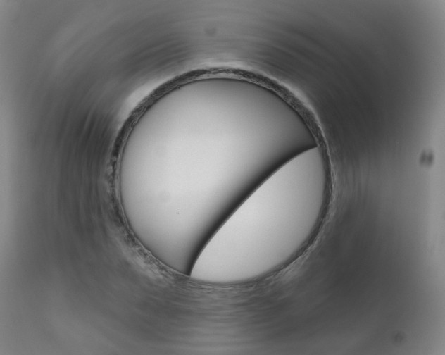 X0000111000879200906191141