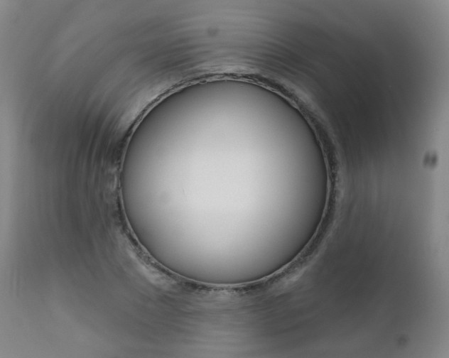 X0000111000881200906191141