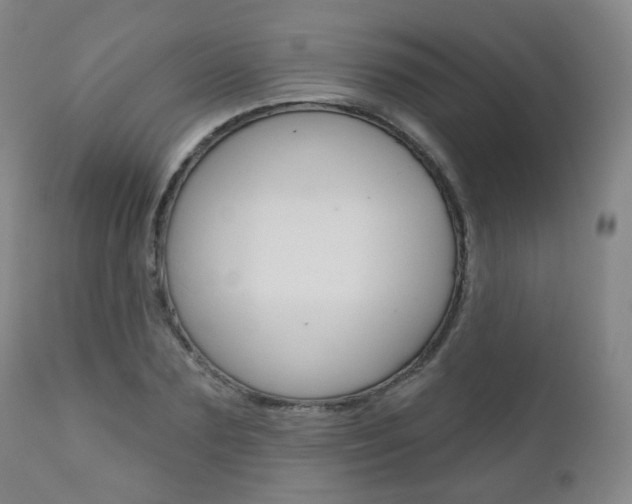X0000111000883200906191141