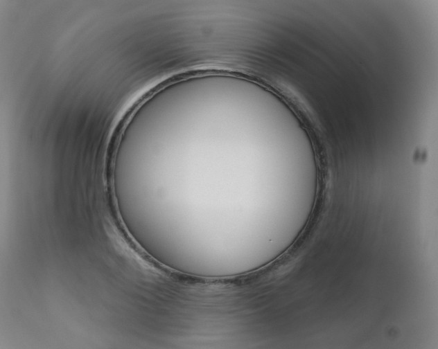 X0000111000884200906191141