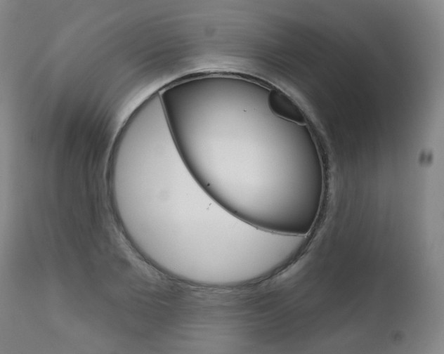 X0000111000885200906191141
