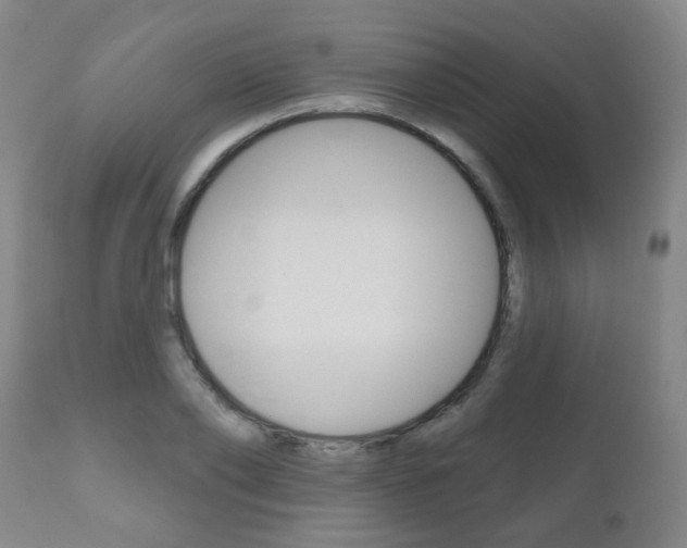 X0000111000886200906191141