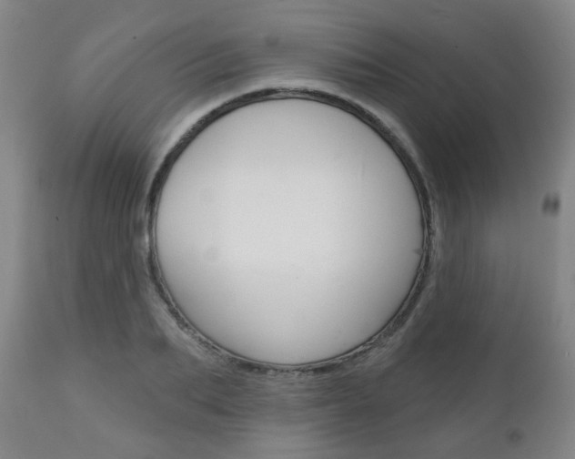 X0000111000887200906191141