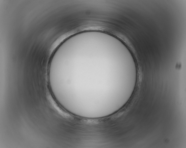 X0000111000890200906191141