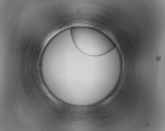 X0000111000893200906191141