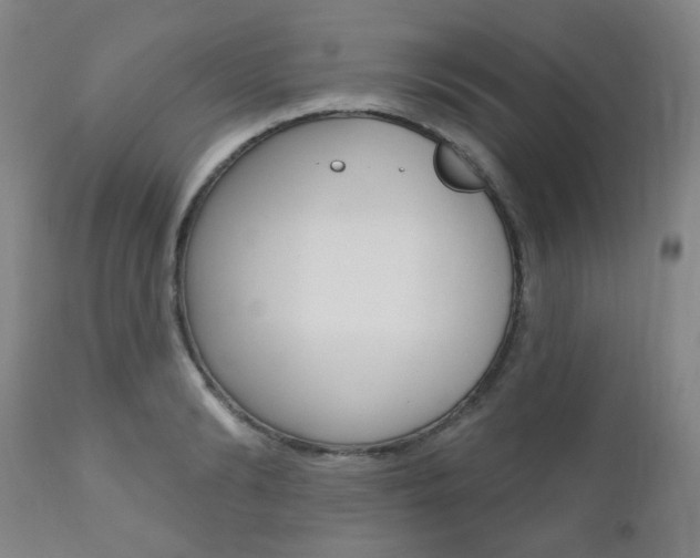 X0000111000894200906191141