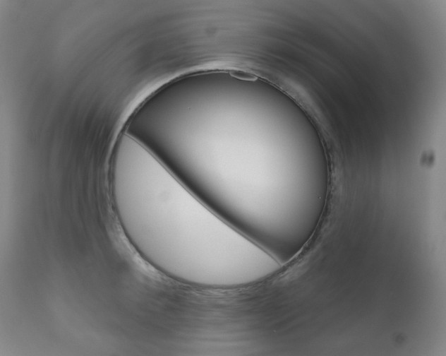 X0000111000900200906191141