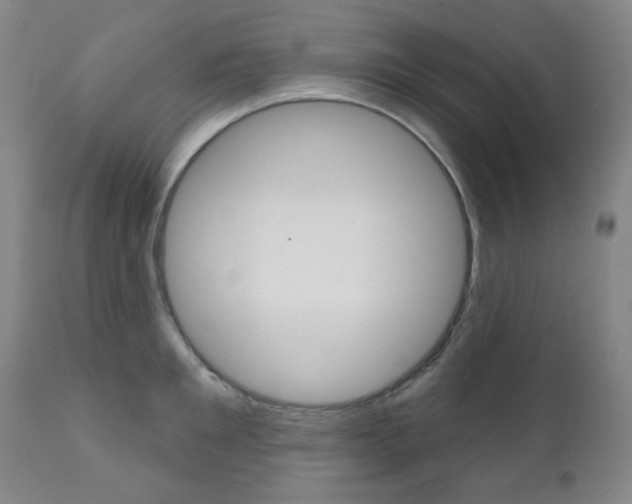 X0000111000901200906191141
