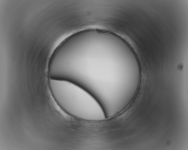 X0000111000902200906191141