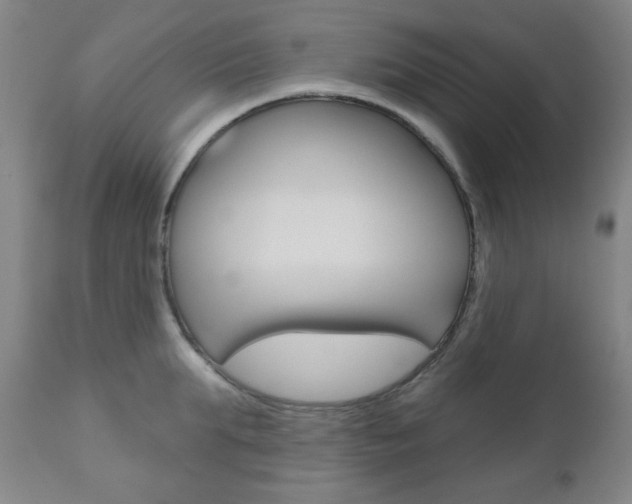 X0000111000903200906191141