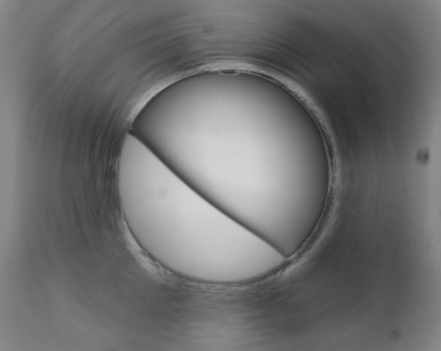 X0000111000905200906191141