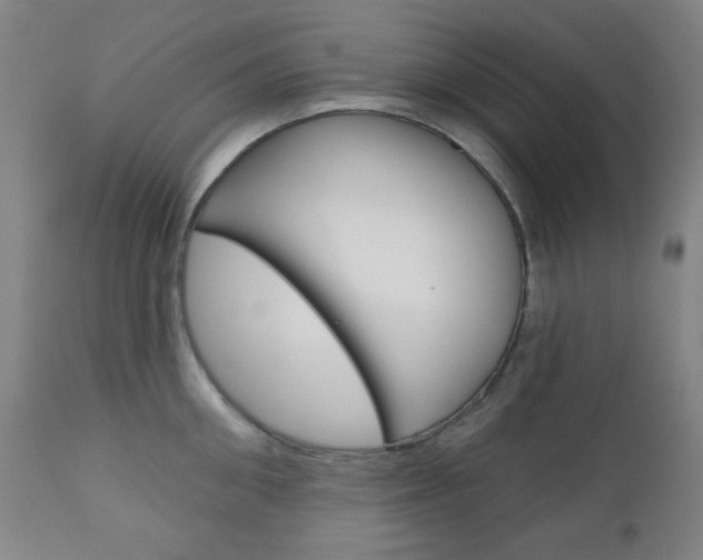 X0000111000906200906191141