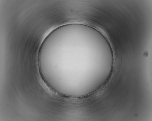 X0000111000907200906191141