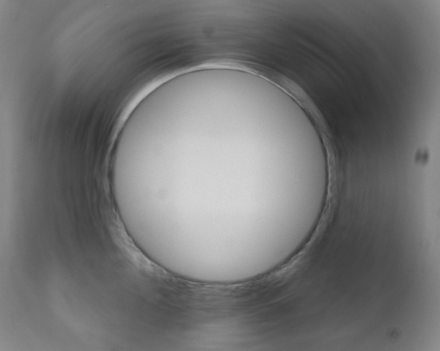X0000111000908200906191141