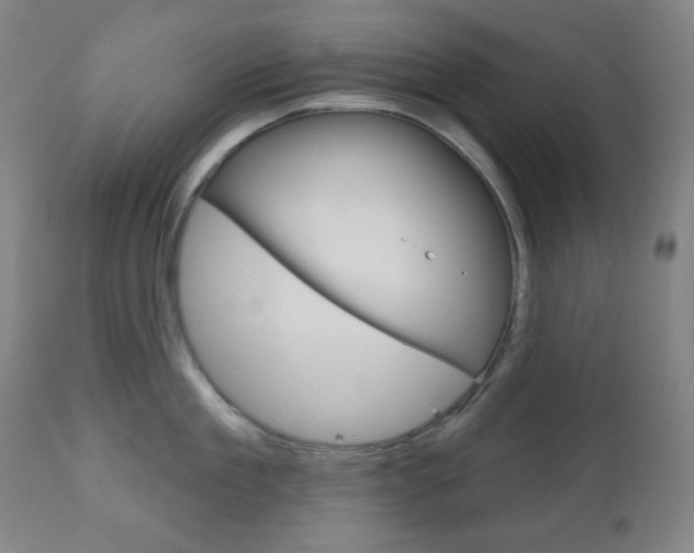 X0000111000909200906191141