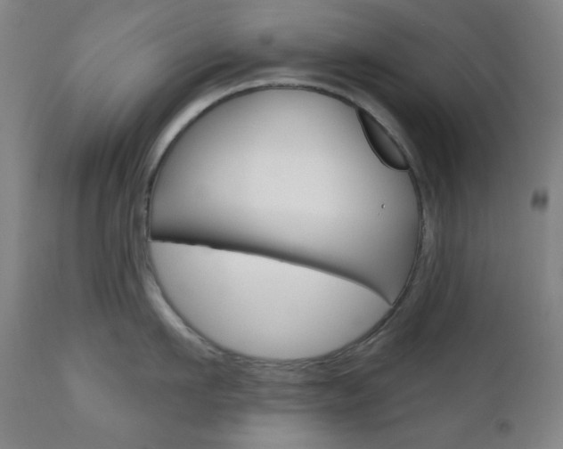 X0000111000911200906191140