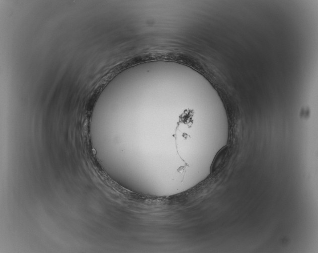 X0000111000914200906191140