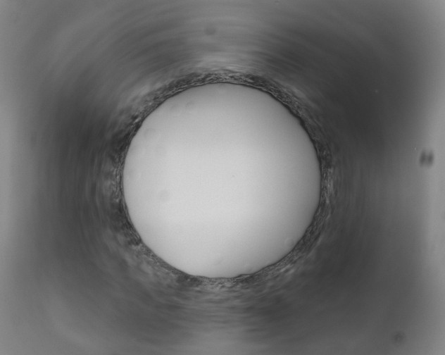 X0000111000917200906191140