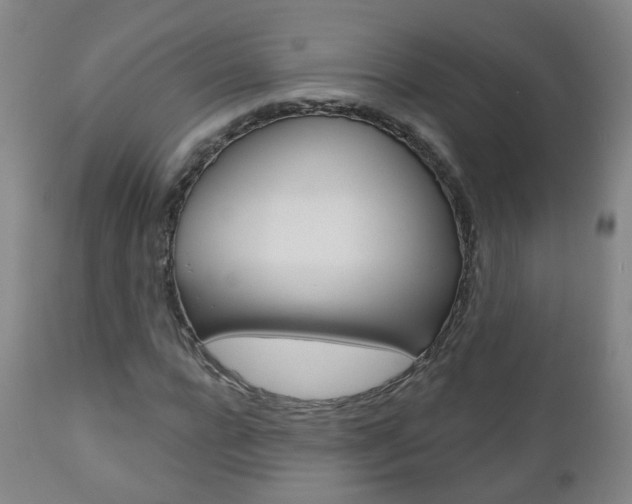X0000111000920200906191140