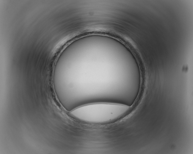 X0000111000922200906191140