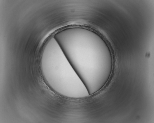 X0000111000923200906191140