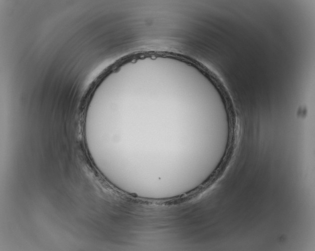 X0000111000925200906191140