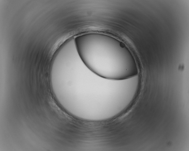 X0000111000930200906191140