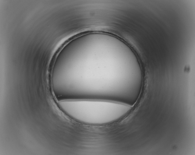 X0000111000932200906191140