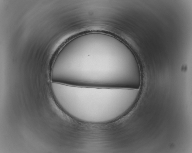 X0000111000934200906191140