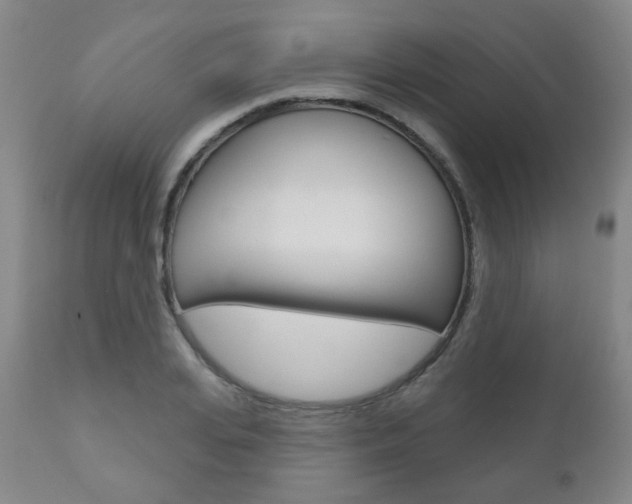 X0000111000935200906191140