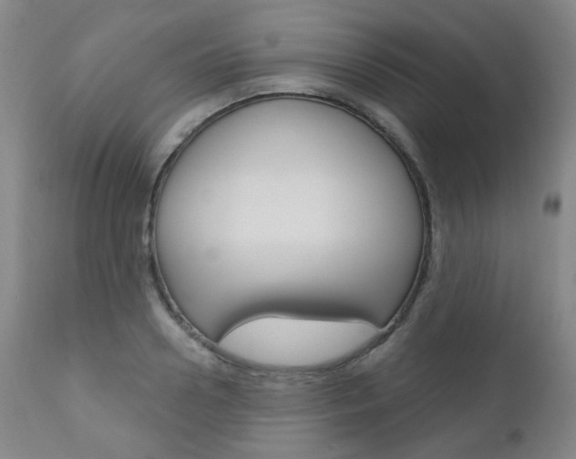 X0000111000938200906191140