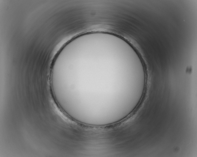 X0000111000941200906191140