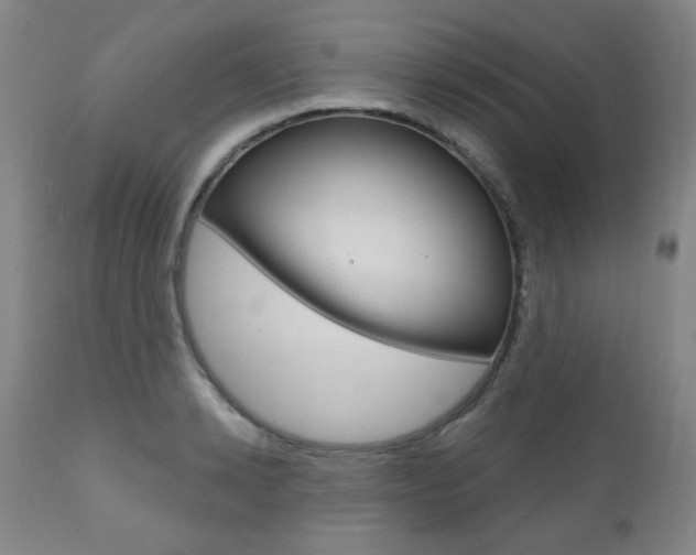 X0000111000942200906191140