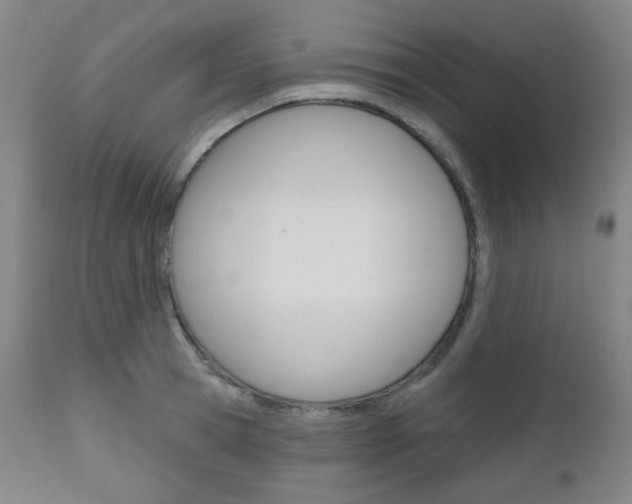 X0000111000945200906191140