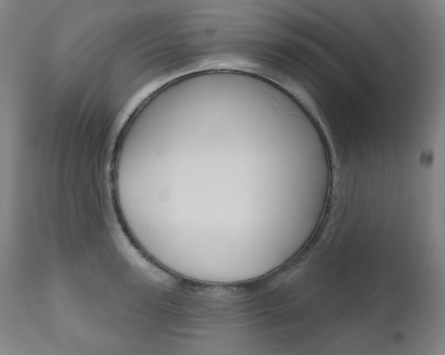 X0000111000947200906191140